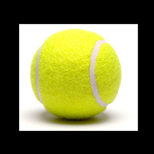 Animal Instincts Tennis Balls Single