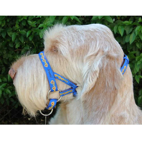 Halti Head Dogmatic Canine Head Halter Dogmatic Blue Headcollar