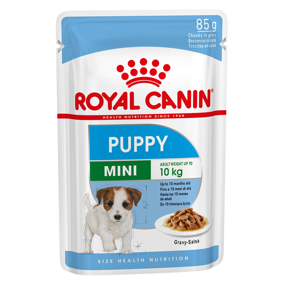 Royal 2025 canin blue